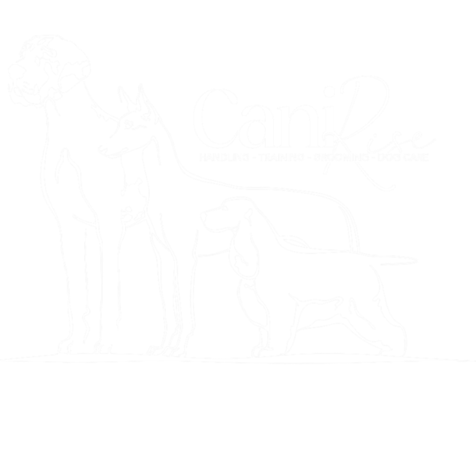 Accueil CaniRise